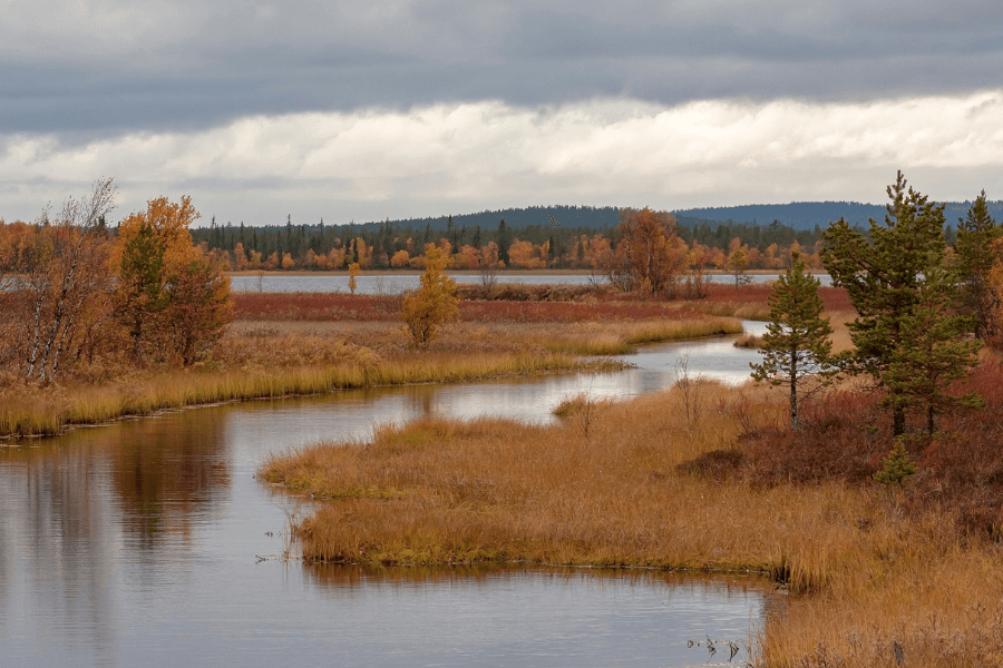 Laponsko podzim