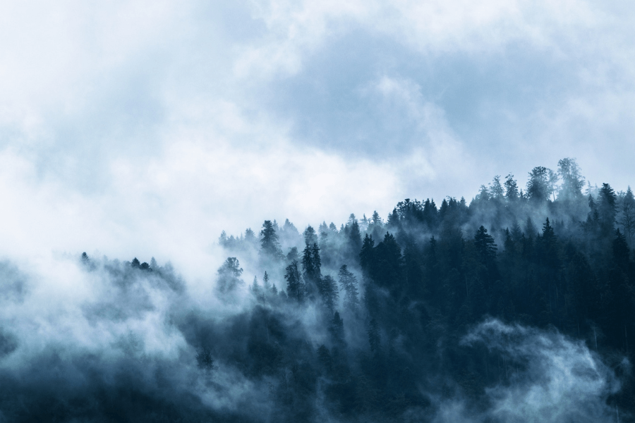 Příroda v mlze. Zdroj: https://pixabay.com/cs/photos/mlha-les-jehli%C4%8Dnany-stromy-1535201/