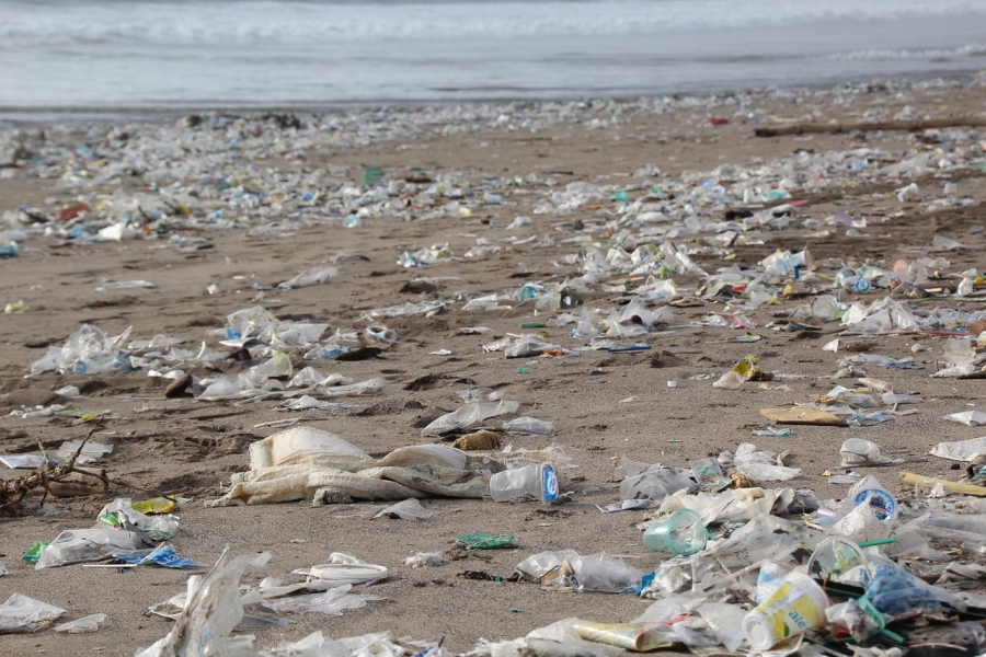 Znečištěná pláž plastovými odpadky