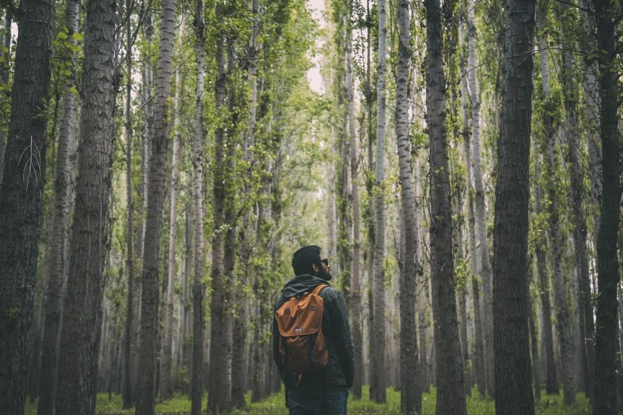 Muž s batohem v lese