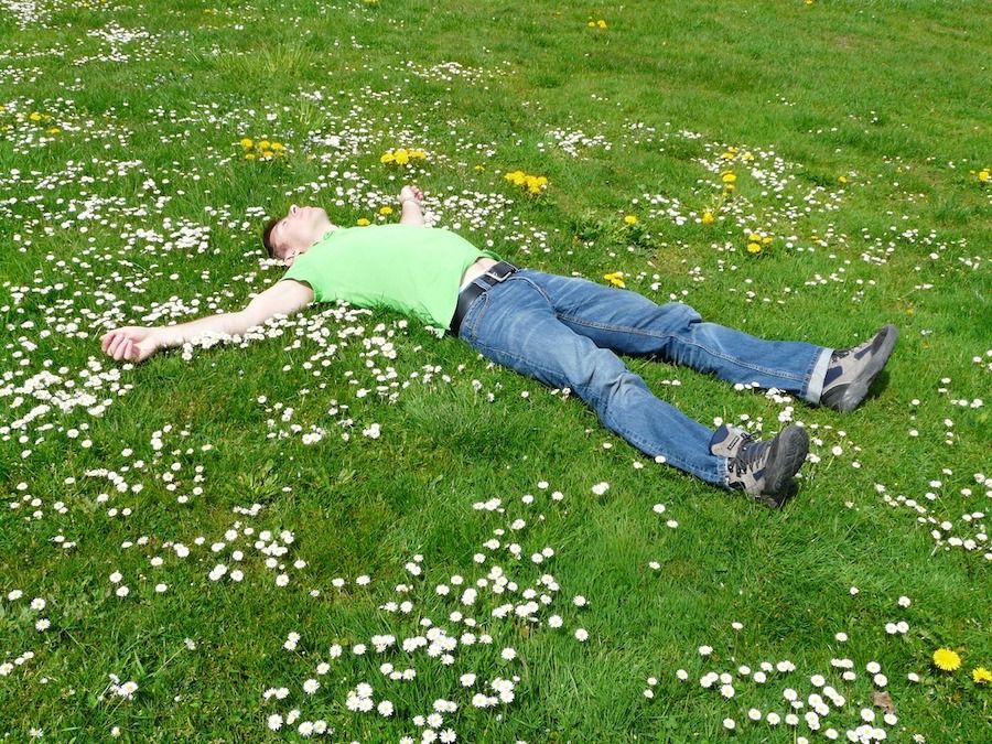 Muž ležící na rozkvetlé louce